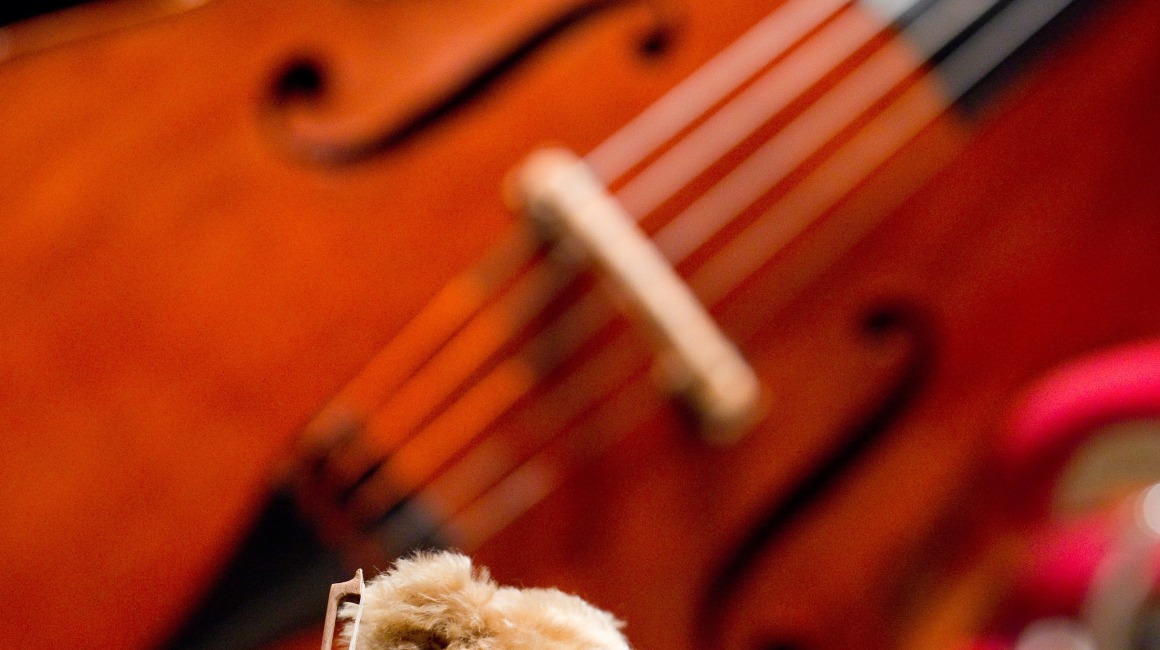 Foto: Harlekin-Graphics / Adobe Stock 